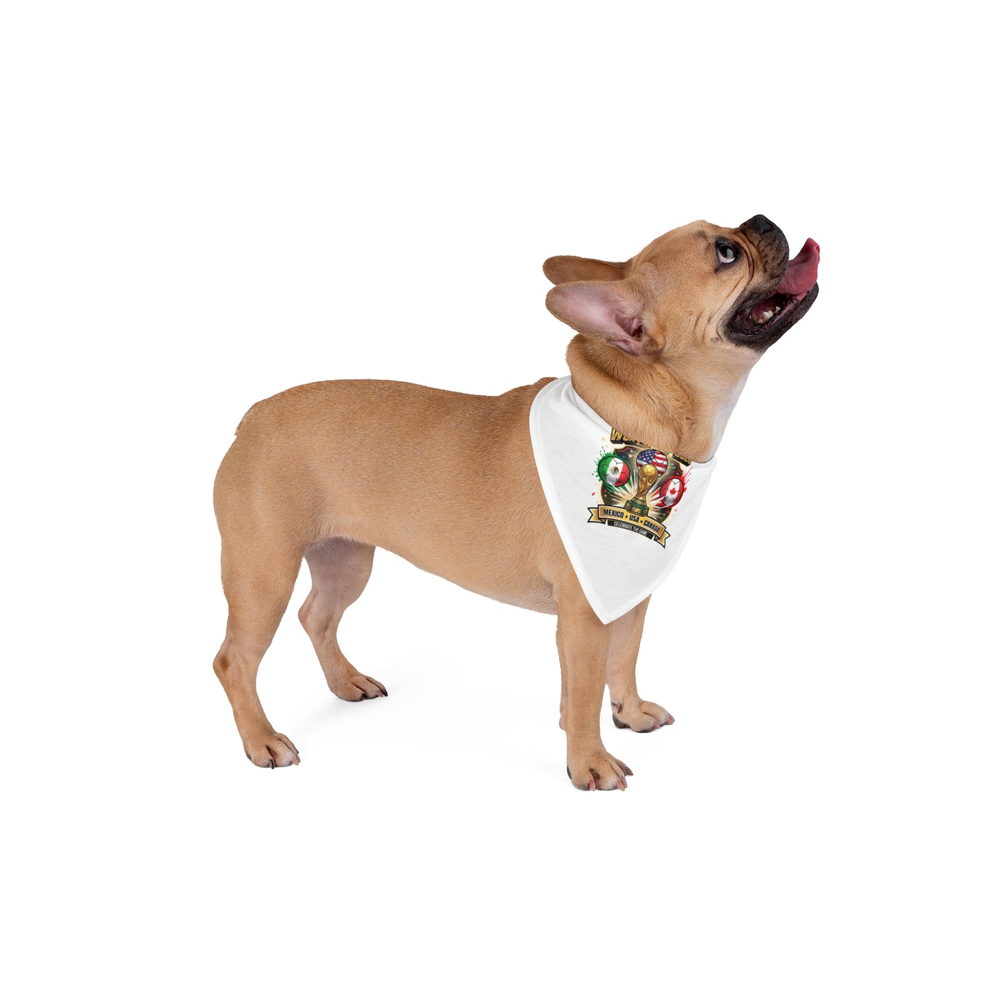 Your Pet Called… They’re Ready for Game Day! Because your pet isn’t just part of the family… they’re part of the team. Furry Fans, Soccer Season