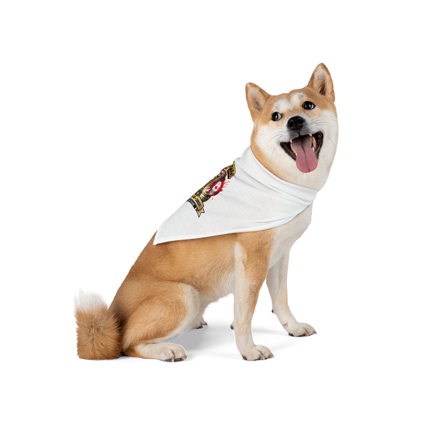 Your Pet Called… They’re Ready for Game Day! Because your pet isn’t just part of the family… they’re part of the team. Furry Fans, Soccer Season